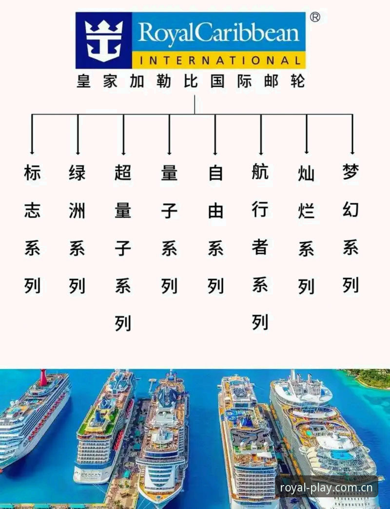 资深用户分享2026皇家国际入口使用心得：从下载到注册的完整实战经验